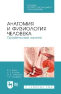 Анатомия и физиология человека. Практические занятия. Учебное пособие для СПО - В. Б. Брин