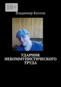 Ударник некоммунистического труда - Владимир Козлов