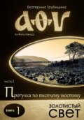 Золотистый свет. Серия: Аз Фита Ижица. Часть I: Прогулка по висячему мостику. Книга 1