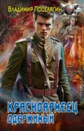 Красноармеец. Одержимый - Владимир Поселягин