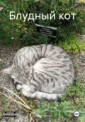 Блудный кот - Вадим Дмитриевич Краско
