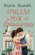 Приехал муж из командировки - Дарья Волкова