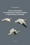 Пути адаптации Гусеобразных трибы Anserini к обитанию в Арктике - Е. В. Сыроечковский