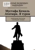 Мустафа Кемаль Ататюрк. Я турок. Маленькие рассказы о большом успехе - Николай Яковлевич Надеждин