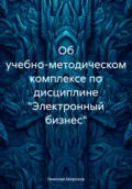 Об учебно-методическом комплексе по дисциплине «Электронный бизнес» - Николай Петрович Морозов
