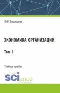 Экономика организации. Том 1. (Бакалавриат). Учебное пособие. - Юлия Владимировна Воронцова