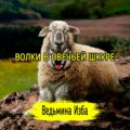 ВОЛКИ В ОВЕЧЬЕЙ ШКУРЕ. #ВЕДЬМИНАИЗБА  #МАГИЯ