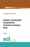 Финансы организаций (предприятий) различных правовых форм. (Бакалавриат, Магистратура). Учебник. - Татьяна Валентиновна Шубина