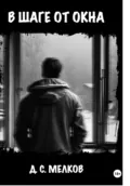 В шаге от окна - Дмитрий Сергеевич Мелков