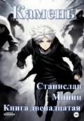 Камень. Книга двенадцатая - Станислав Николаевич Минин