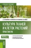 Культура тканей и клеток растений. Практикум. (Бакалавриат). Учебное пособие. - Елена Анатольевна Калашникова