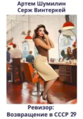 Ревизор: возвращение в СССР 29 - Серж Винтеркей