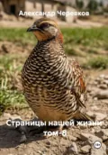 Страницы нашей жизни Том-8 - Александр Черевков