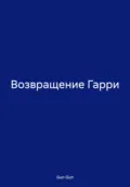 Возвращение Гарри - Gun Gun