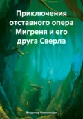 Приключения отставного опера Мигреня и его друга Сверла - Владимир Николаевич Положенцев