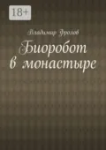 Биоробот в монастыре - Владимир Владимирович Фролов