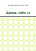 Жизнь воблера - Владимир Владимирович Фролов