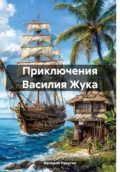 Приключения Василия Жука - Валерий Радугин