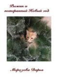Рыжик и потерянный Новый год - Дарья Михайловна Морозова