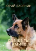 Где же ты, Амиго? - Юрий Павлович Васянин