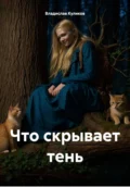 Что скрывает тень - Владислав Юрьевич Куликов