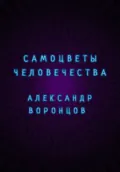 Самоцветы человечества - Александр Валерьевич Воронцов