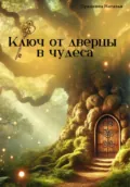 Ключ от дверцы в чудеса - Наталья Прядкина