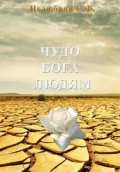 Чудо Бога людям. Подлинные житейские рассказы - Светлана Фёдоровна Нелюбина