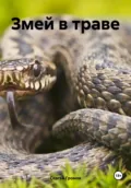 Змей в траве - Сергей Громов