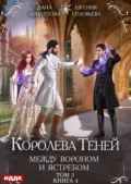 Королева Теней. Книга 4. Между Вороном и Ястребом. Том 2 - Евгения Соловьева