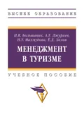 Менеджмент в туризме - Петр Владимирович Большаник