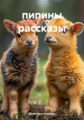 пипины рассказы - Валентина Игоревна Ларцева