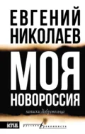 Моя Новороссия. Записки добровольца - Евгений Николаев