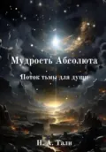 Мудрость Абсолюта. Поток тьмы для души - Н.А. Тали