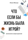 Что если бы жизнь была игрой? Механика мироздания - Иван Романович Магда