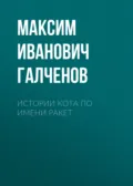Истории кота по имени Ракет - Максим Иванович Галченов