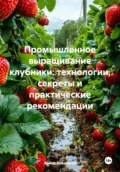 Промышленное выращивание клубники: технологии, секреты и практические рекомендации - Война Владимирович Владимир
