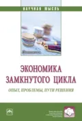 Экономика замкнутого цикла: опыт, проблемы, пути решения - Найля Рифатовна Амирова