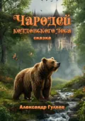 Чародей колдовского леса - Александр Валериевич Гуляев