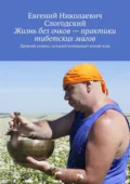 Жизнь без очков – практики тибетских магов. Древний символ, который возвращает ясный взор - Евгений Николаевич Слогодский