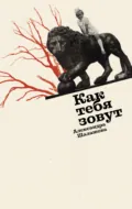Как тебя зовут - Александра Шалашова