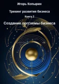 Книга 2. Создание оргсхемы бизнеса - Игорь Борисович Копырин