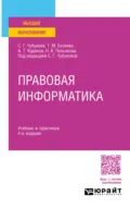 Правовая информатика 4-е изд., пер. и доп. Учебник и практикум для прикладного бакалавриата - Татьяна Михайловна Беляева