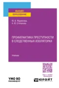 Профилактика преступности в следственных изоляторах. Учебник для вузов - Анна Юрьевна Степанова