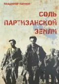 Соль партизанской земли - Владимир Павлов