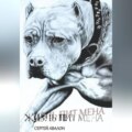 Жизнь Пит мена