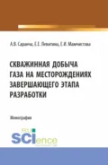Скважинная добыча газа на месторождениях завершающего этапа разработки. (Бакалавриат, Магистратура). Монография. - Екатерина Евгеньевна Левитина