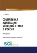 Социальная адаптация молодой семьи в России. (Аспирантура, Бакалавриат, Магистратура). Монография. - Анна Владимировна Верещагина