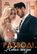 Развод. Новая жизнь - Вера Орлова