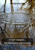 Стоп-кадры… Ироничные рассказы - Светлана Князева